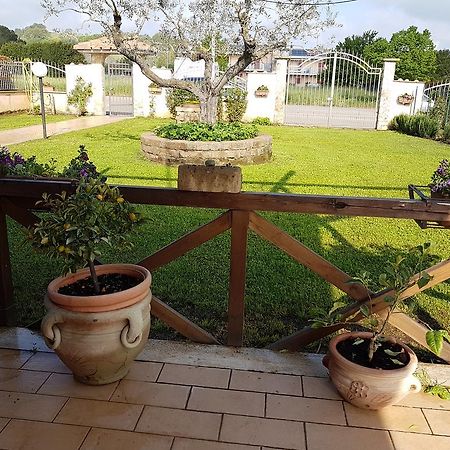 Apartmán Rifugio Dell'Airone Capodimonte Exteriér fotografie